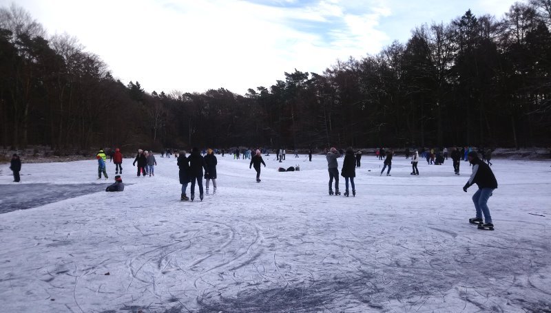 Hamburg-Klövensteen: großer Fischteich (Winter 2022/23) Hamburg-Klövensteen: großer Fischteich (Winter 2022/23)